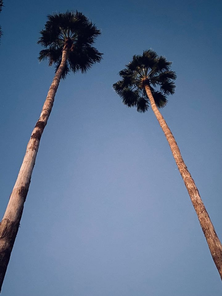 Places — travel